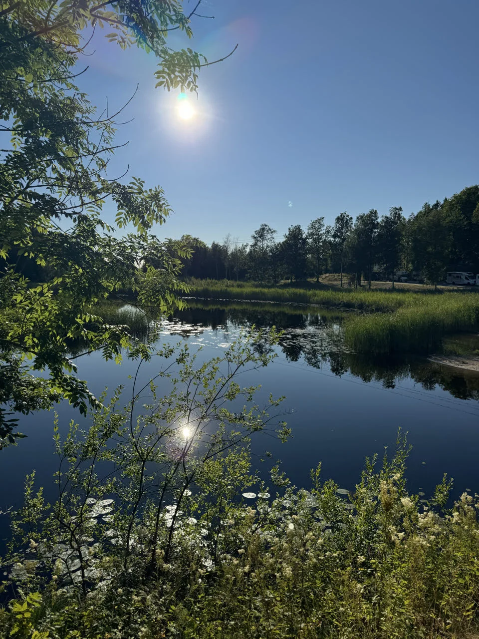 Tanums kommun, Suède — photo 1