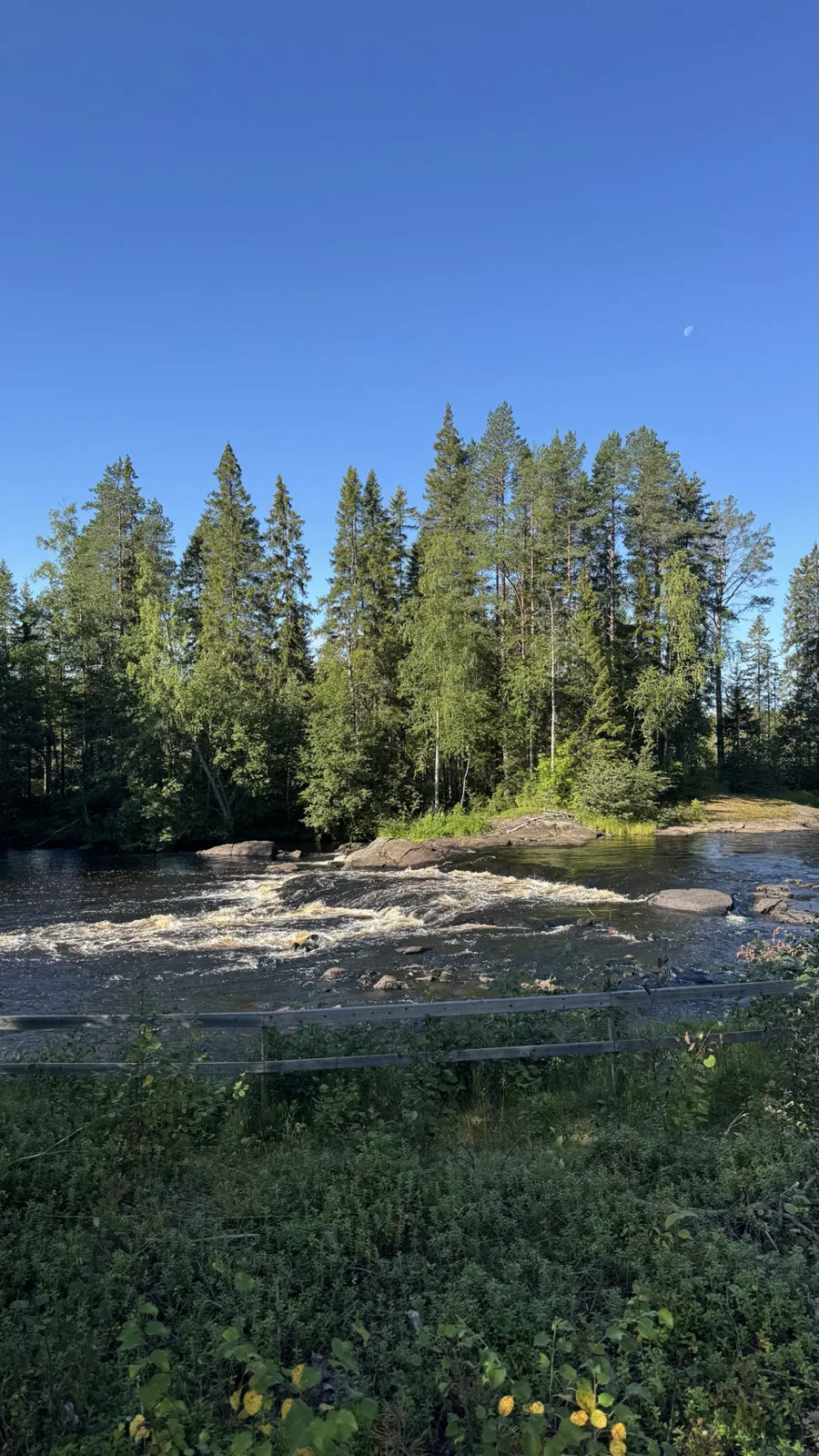 Umeå kommun, Suède — photo 4