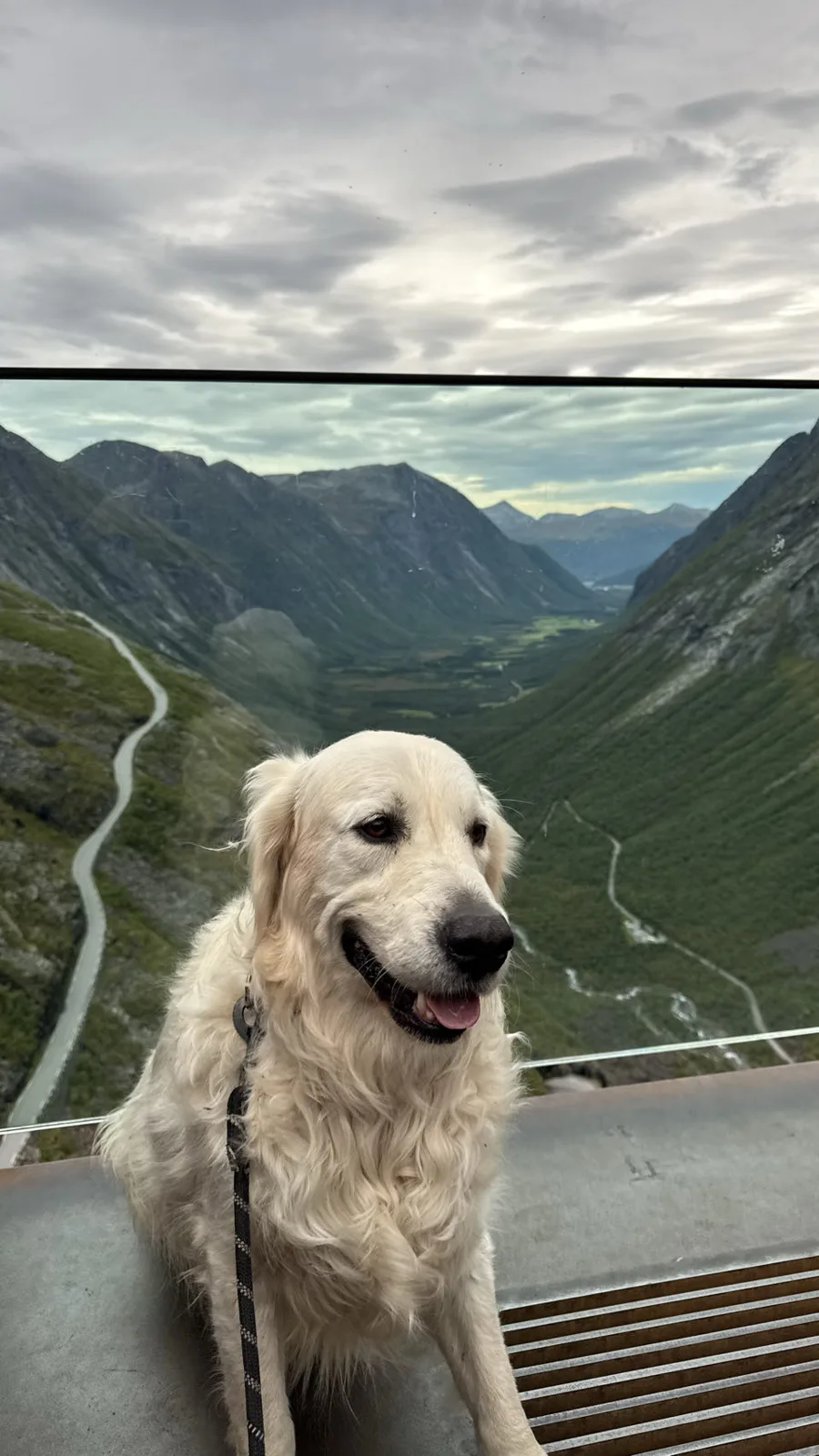 Trollstigen, Norvège — photo 1