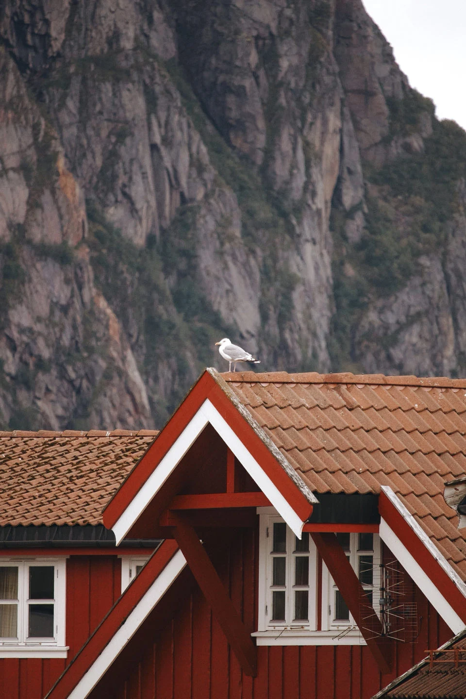 Svolvær, Norvège — photo 1