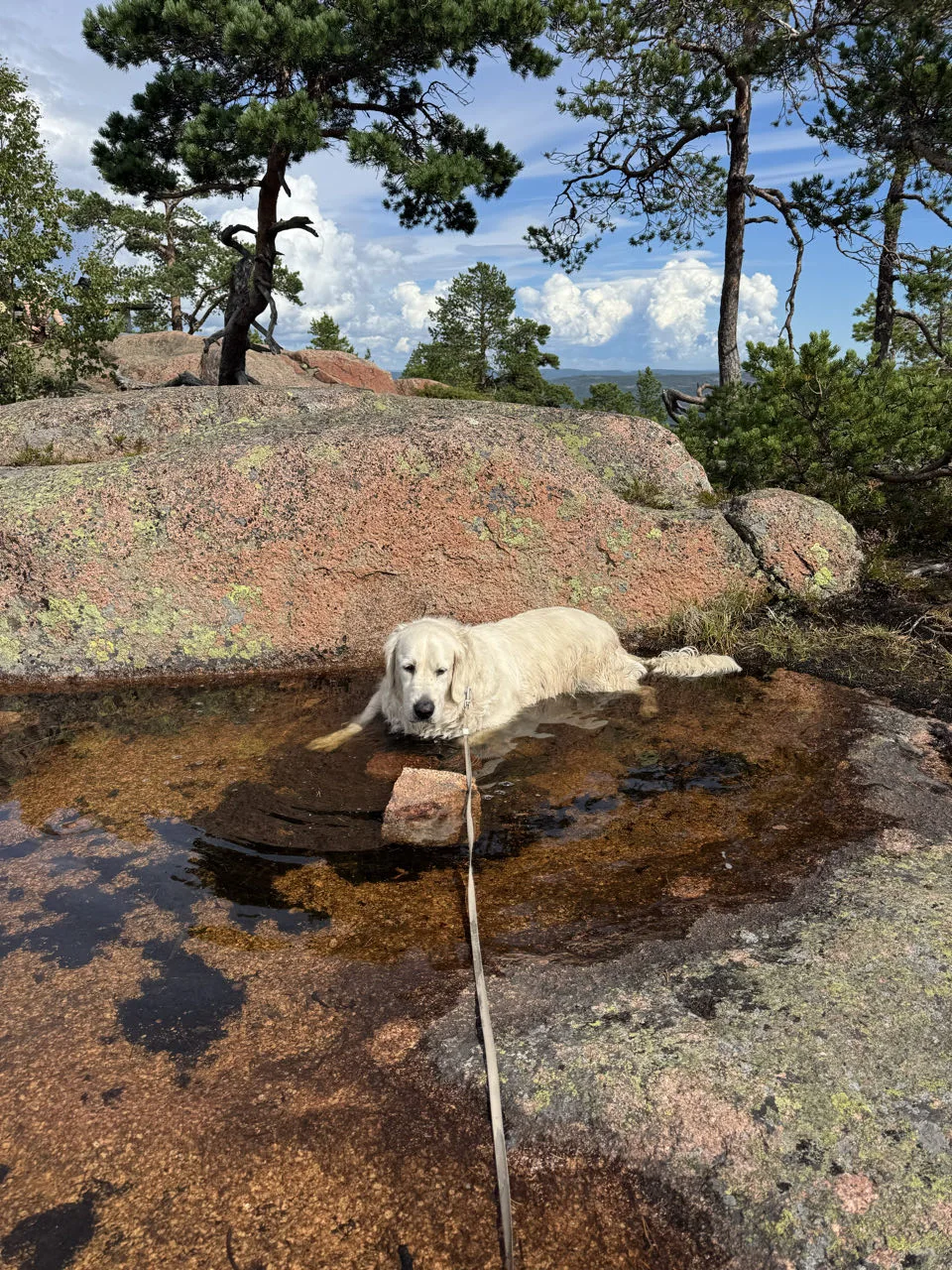 Parc national de Skuleskogen, Suède — photo 5