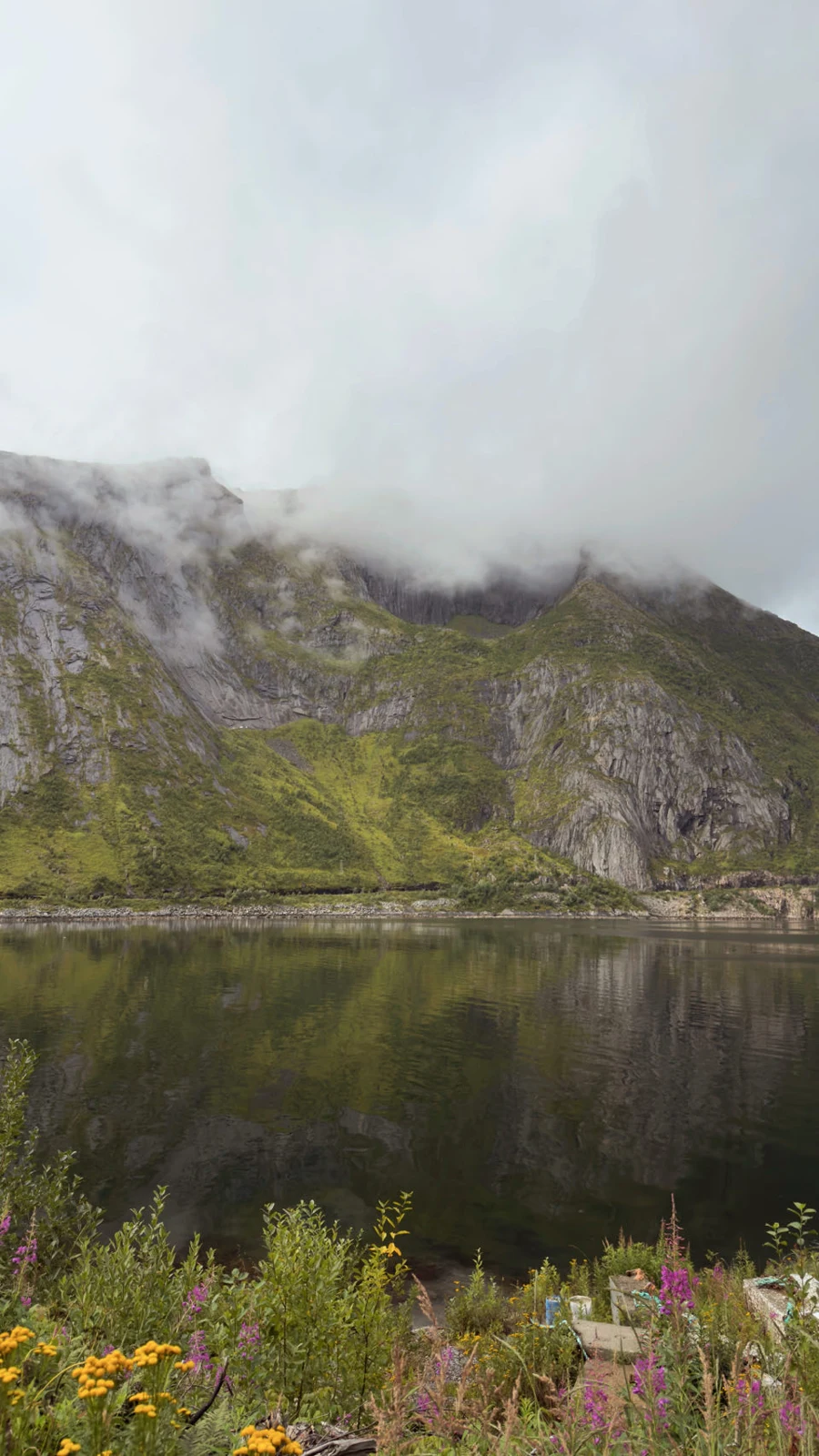 Senja, Norvège — photo 1