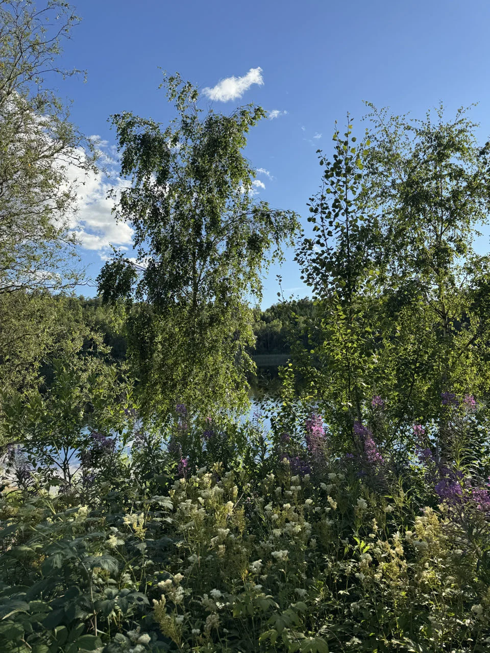 Tanums kommun, Suède — photo 2