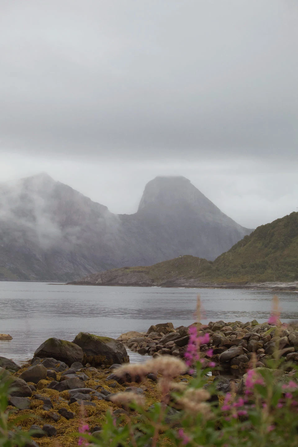 Mefjordvær, Norvège — photo 6