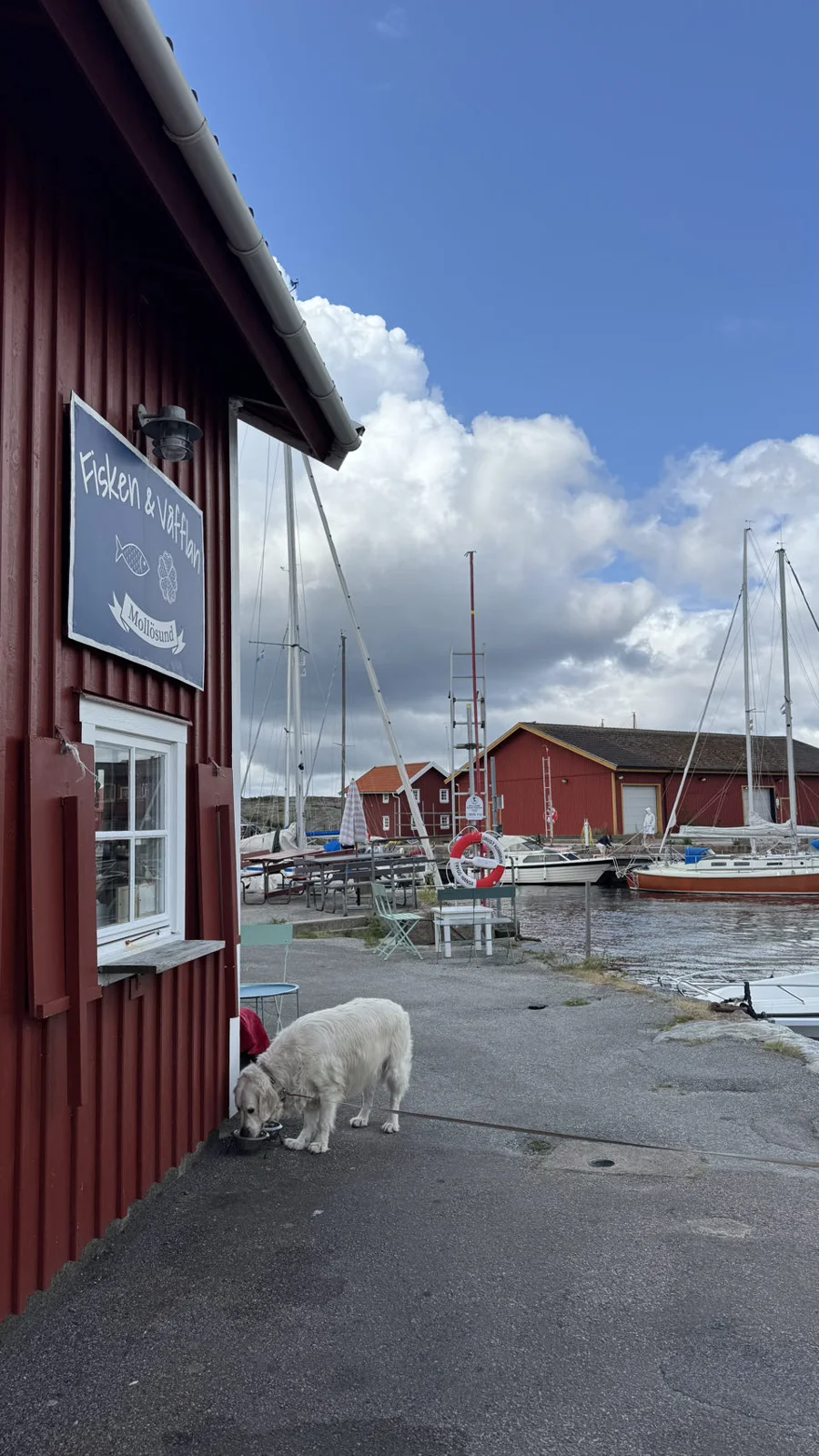 Mollösund, Suède — photo 5