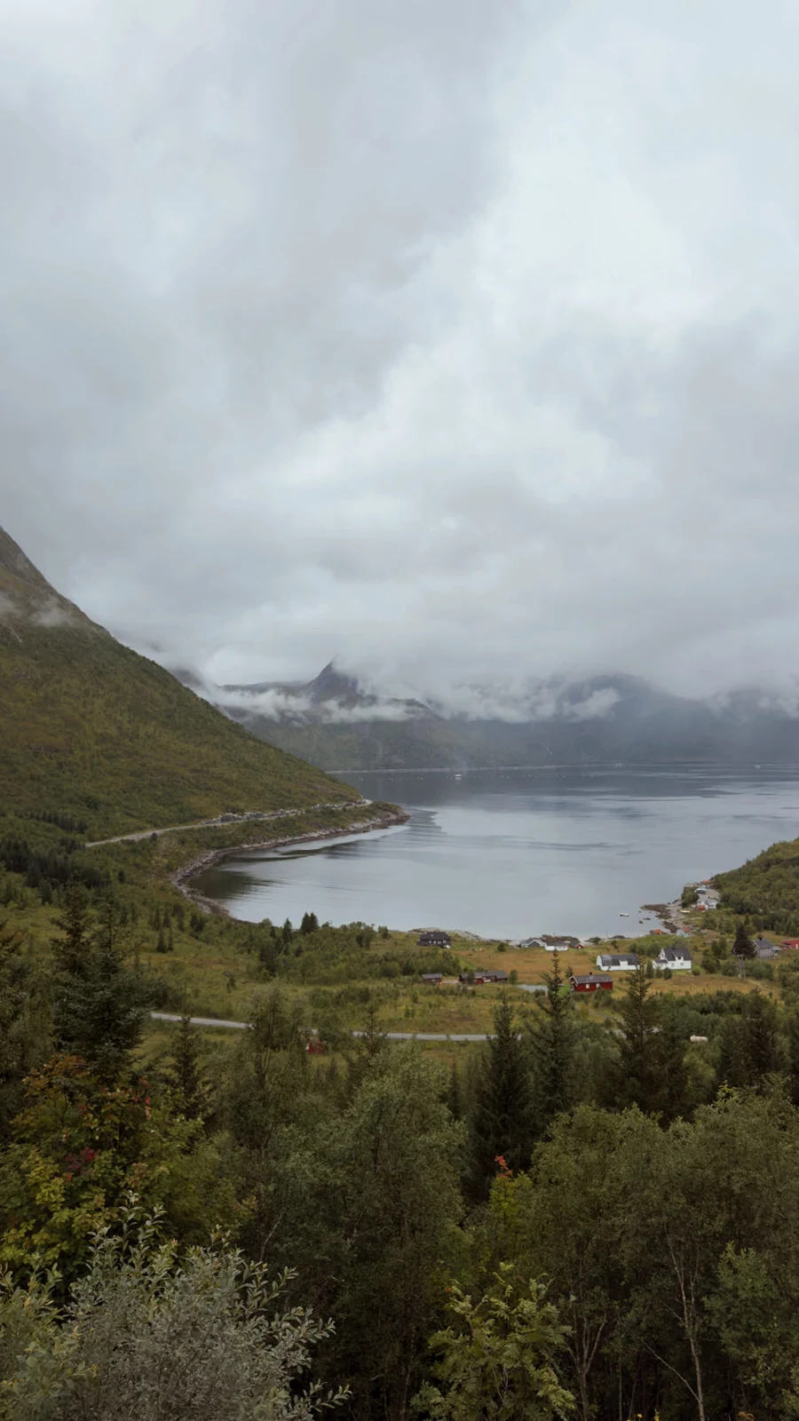 Senja, Norvège — photo 3
