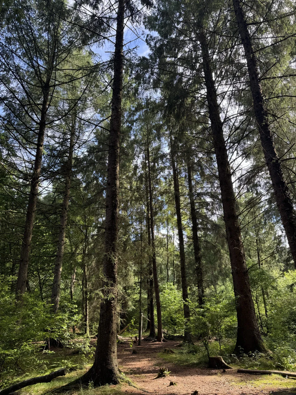 Eggebek, Allemagne — photo 3