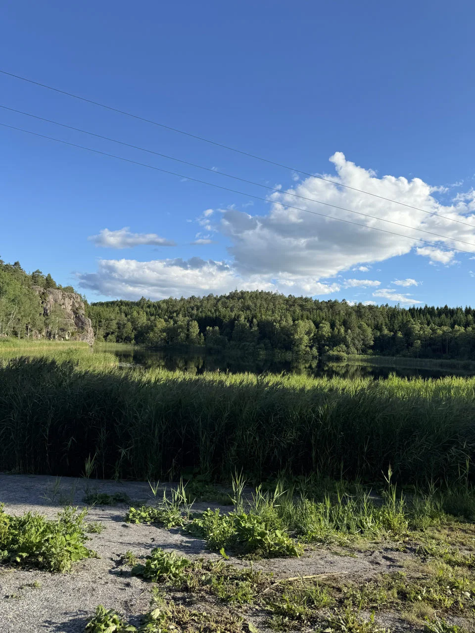 Tanums kommun, Suède — photo 3