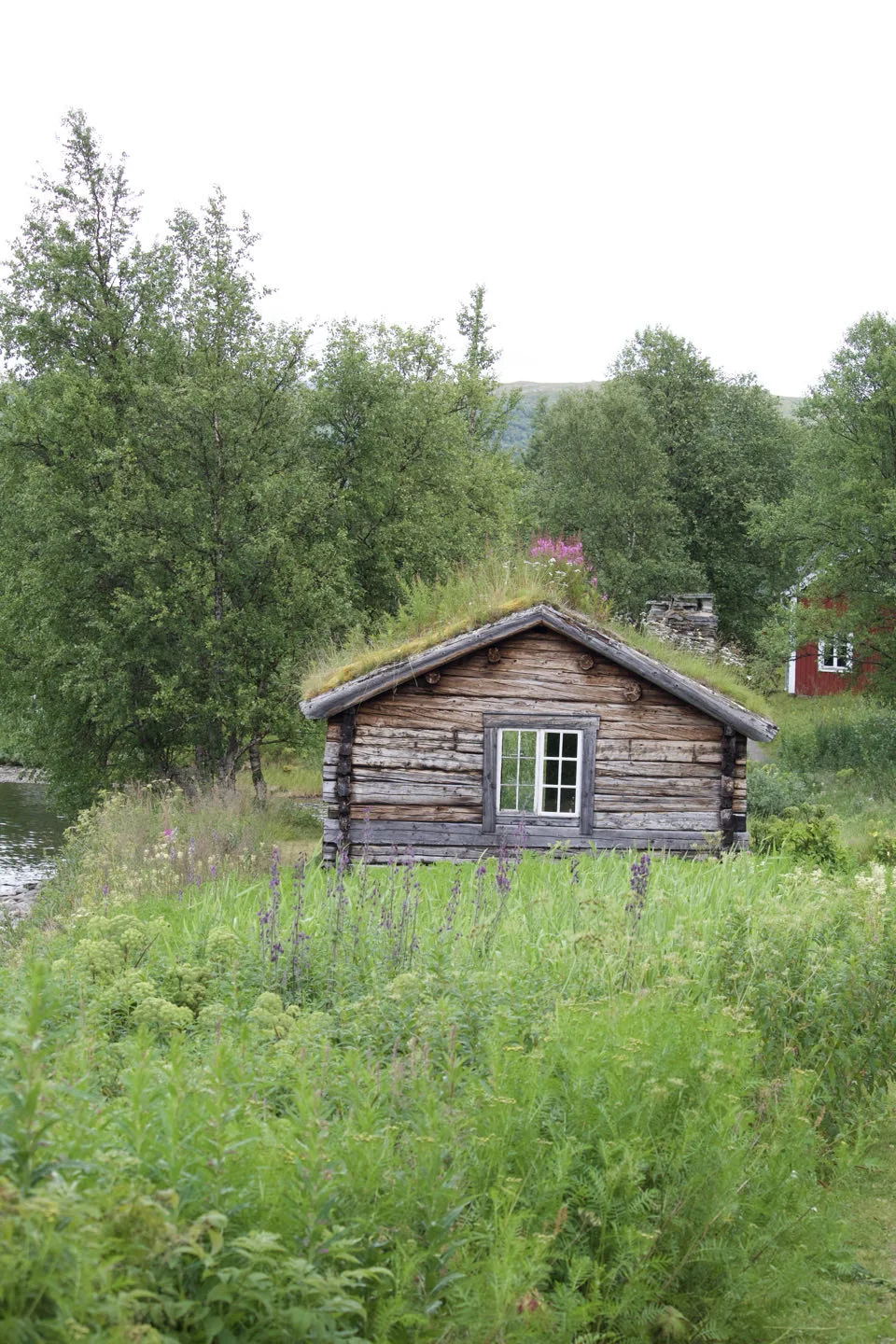 Fatmomakke, Suède — photo 2