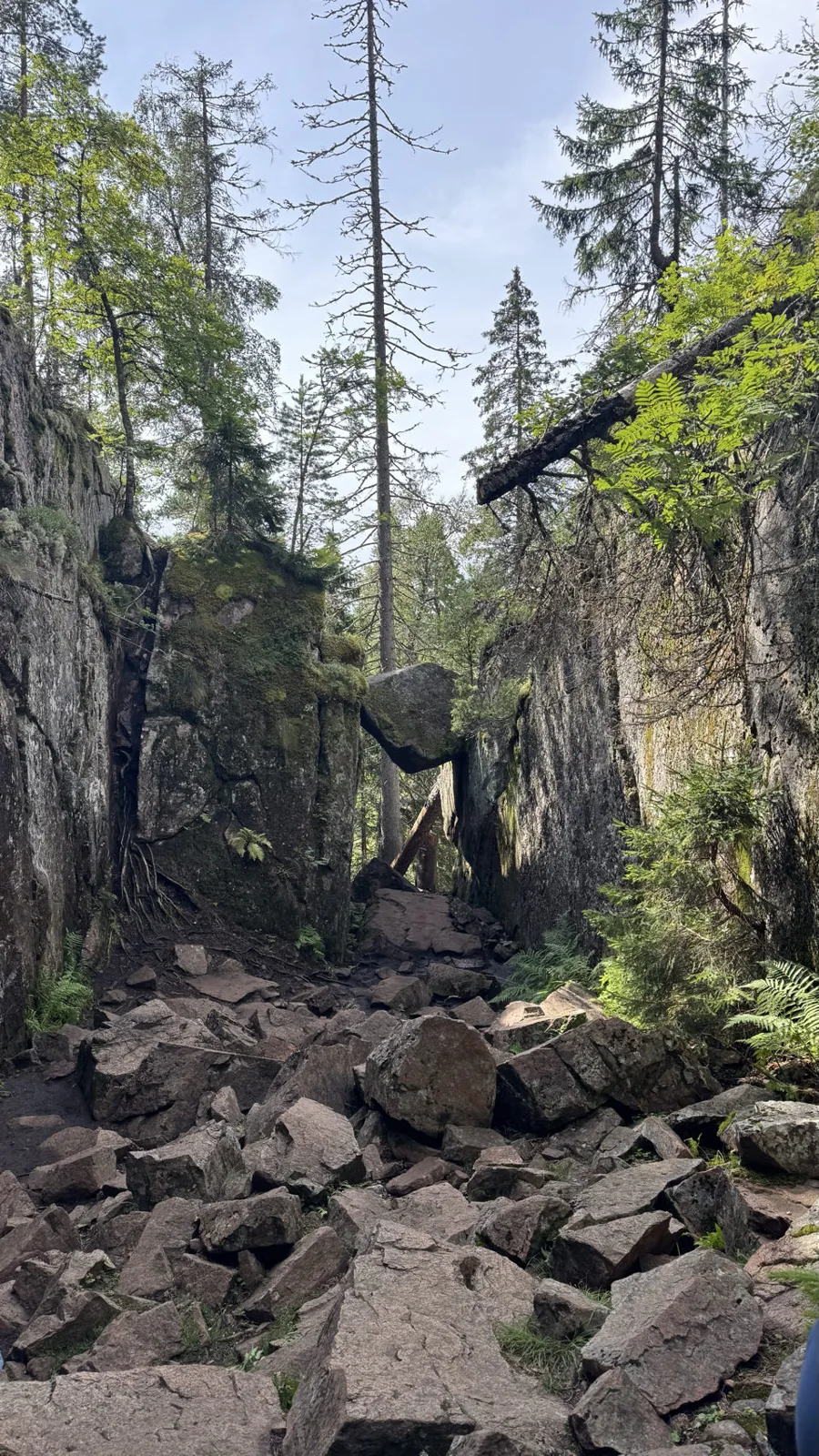 Parc national de Skuleskogen, Suède — photo 2
