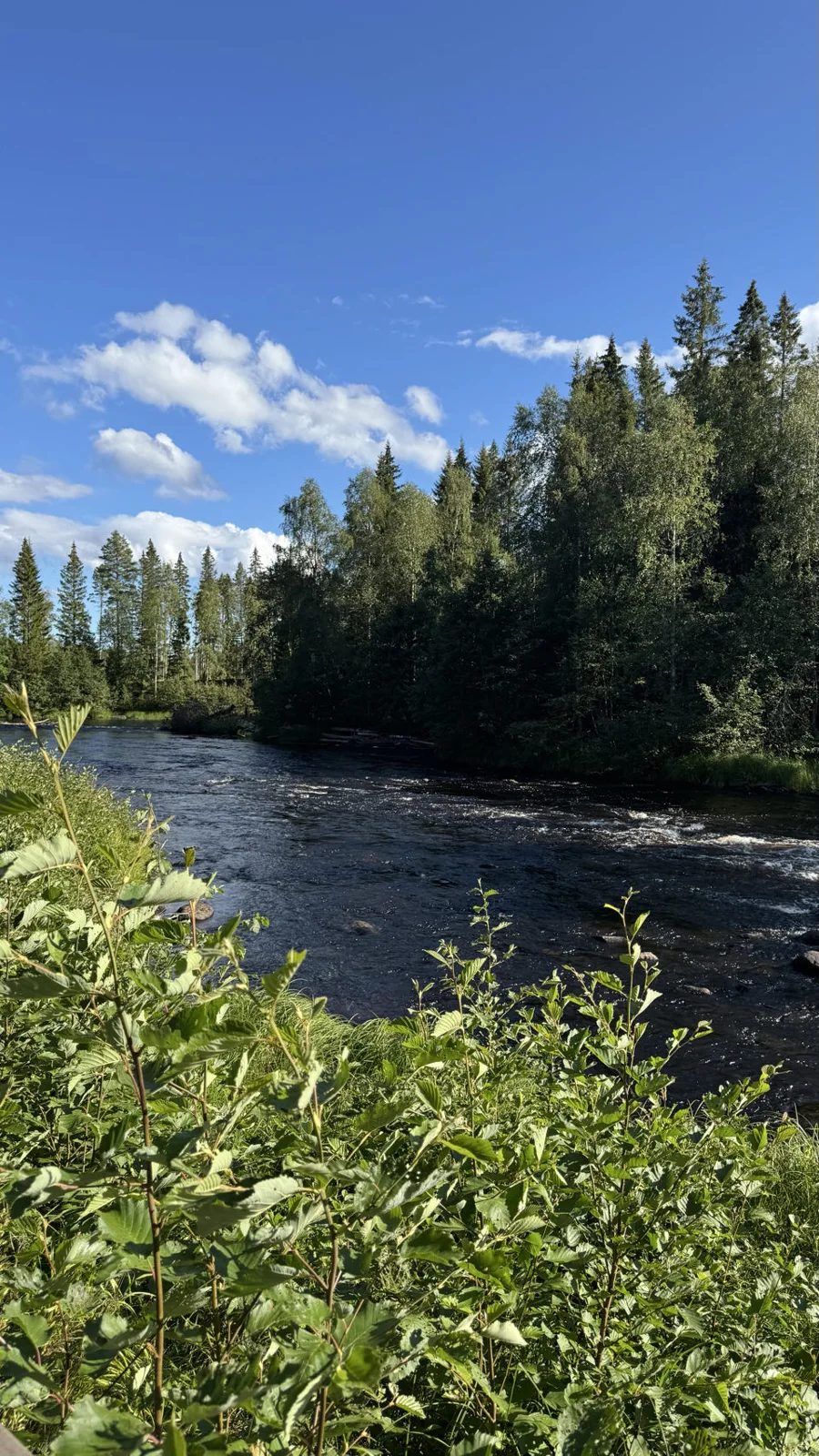Umeå kommun, Suède — photo 2
