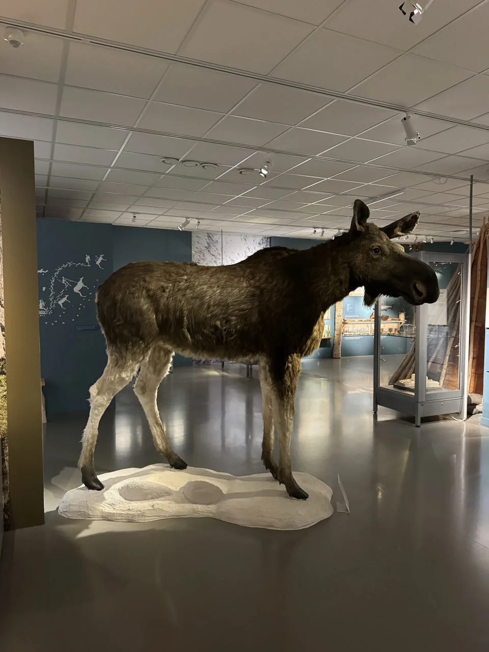 Västerbottens museum, Suède — photo 3