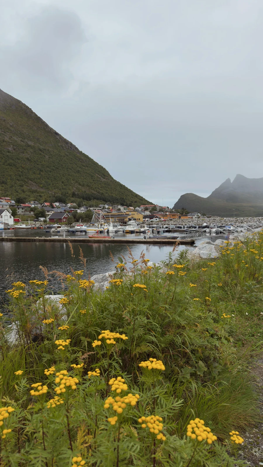 Senja, Norvège — photo 3