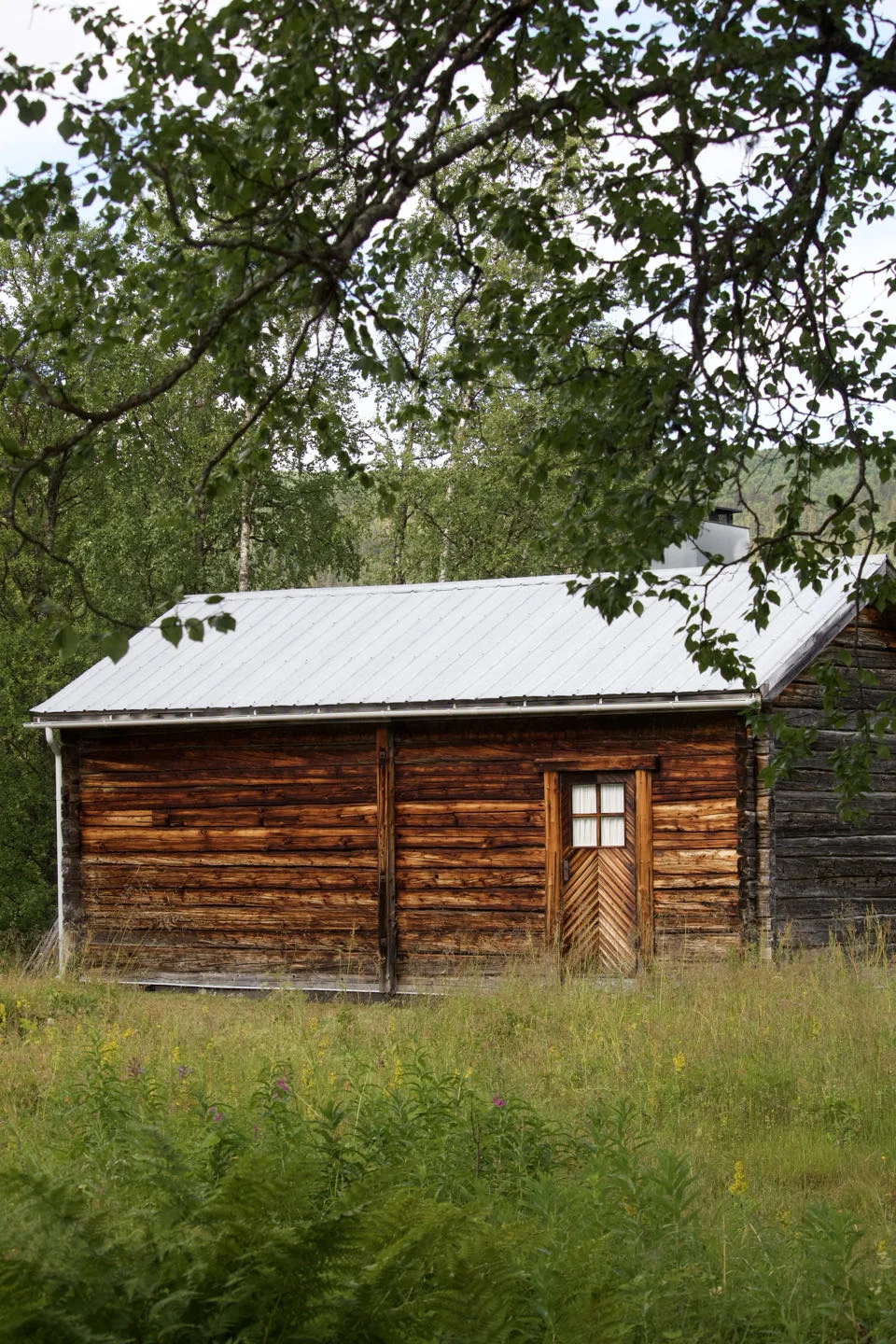 Fatmomakke, Suède — photo 4