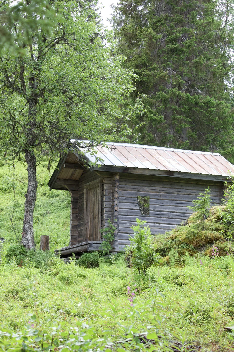 Fatmomakke, Suède — photo 3