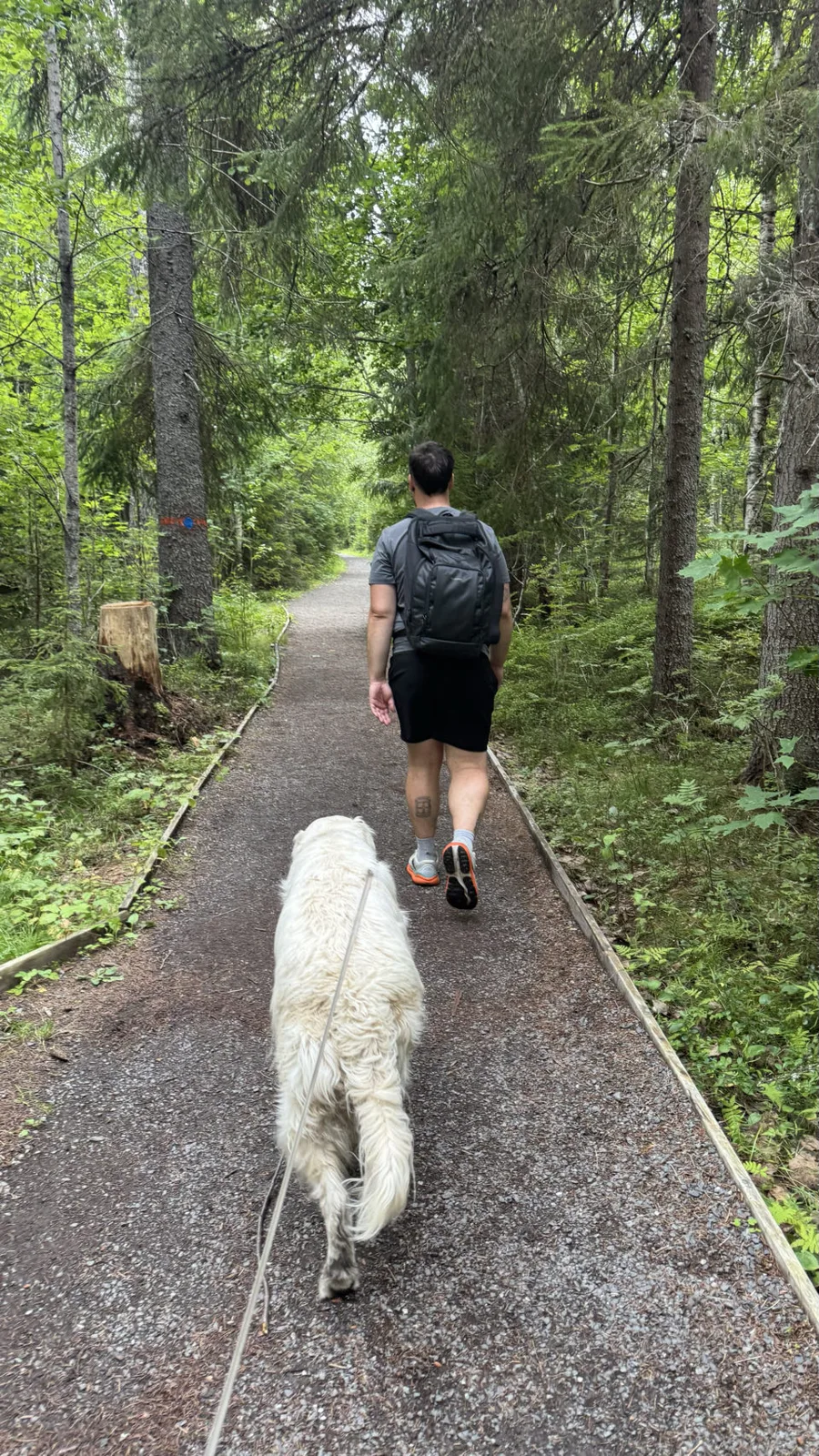 Parc national de Skuleskogen, Suède — photo 1