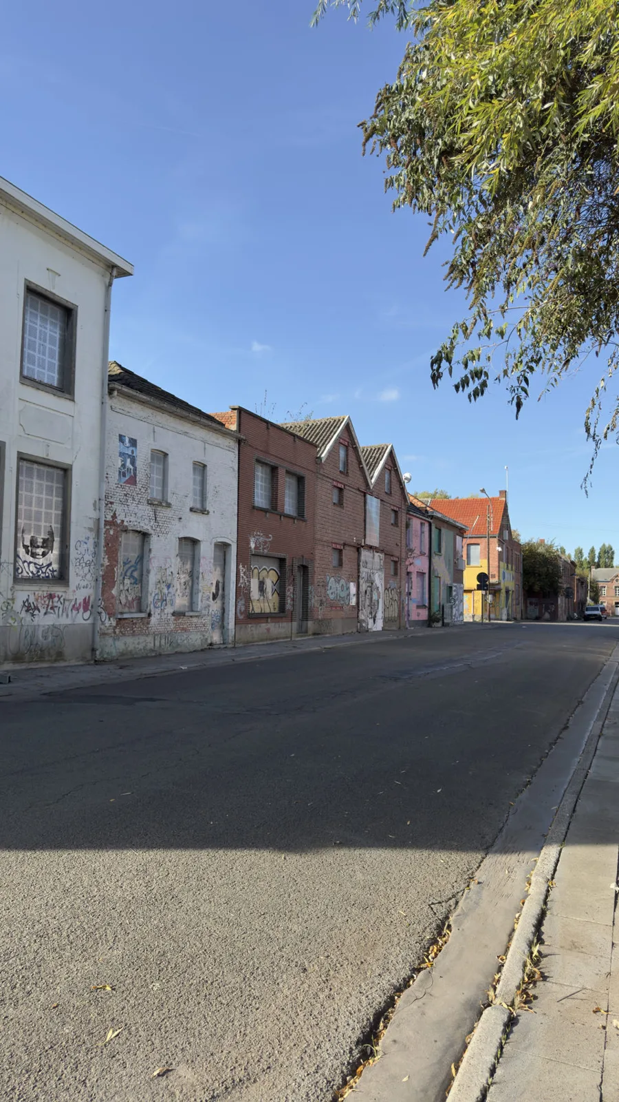 Beveren, Belgique — photo 4