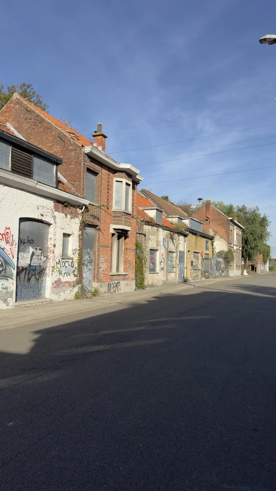 Beveren, Belgique — photo 5
