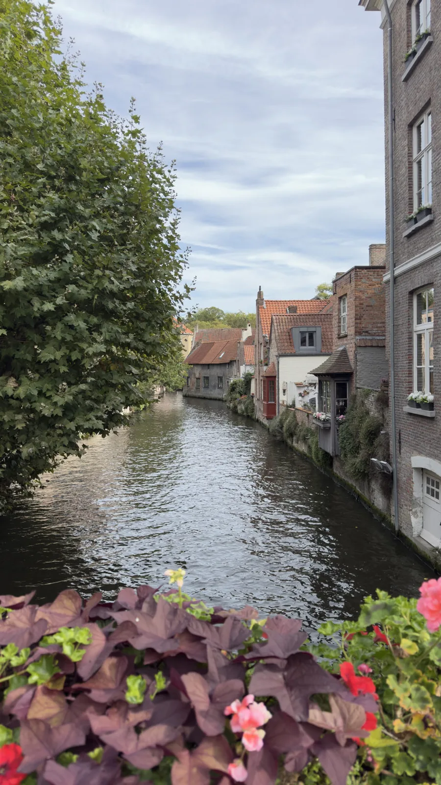 Bruges, Belgique — photo 11