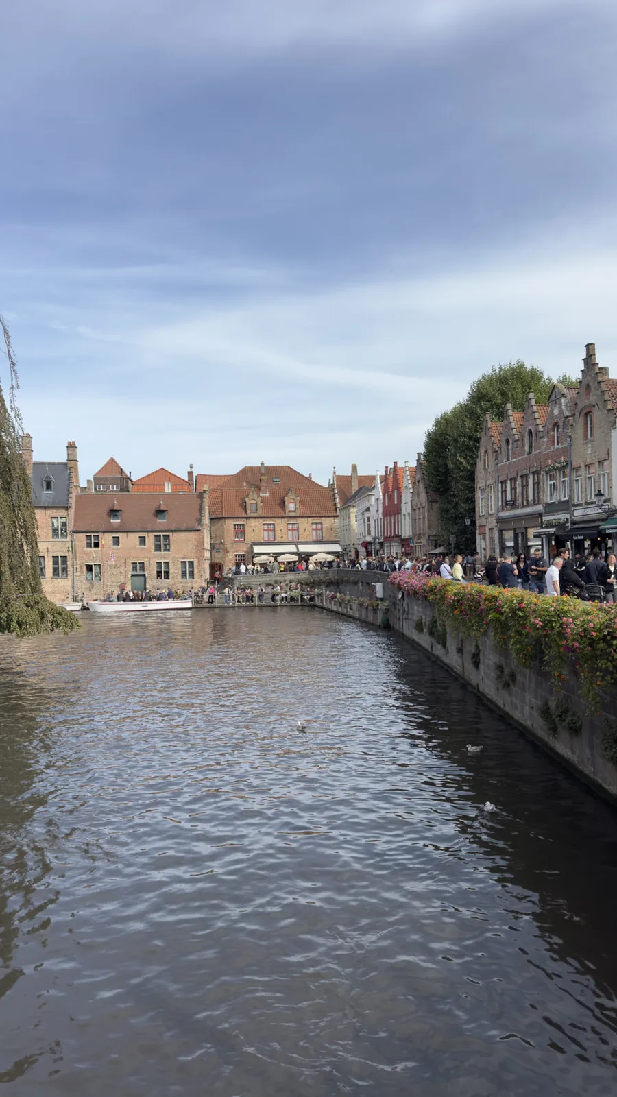 Bruges, Belgique — photo 7