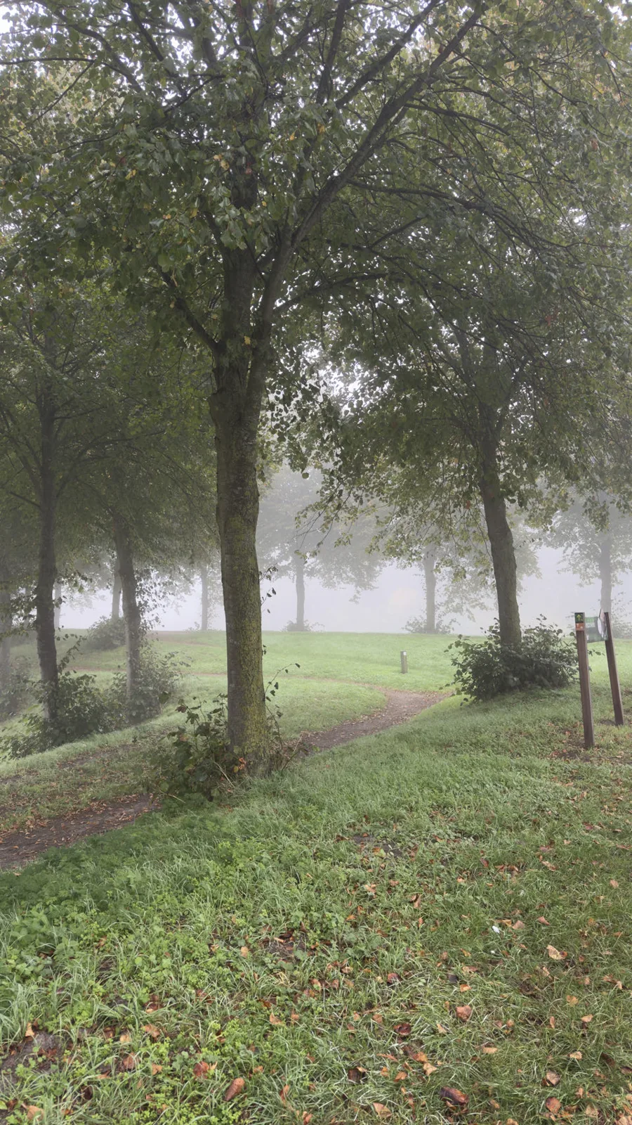 Hulst, Pays-Bas — photo 1