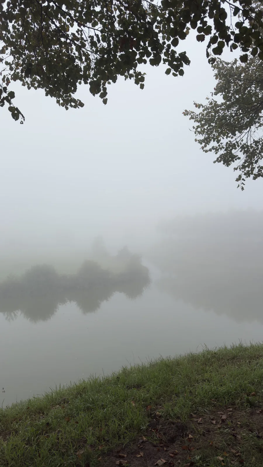 Hulst, Pays-Bas — photo 2