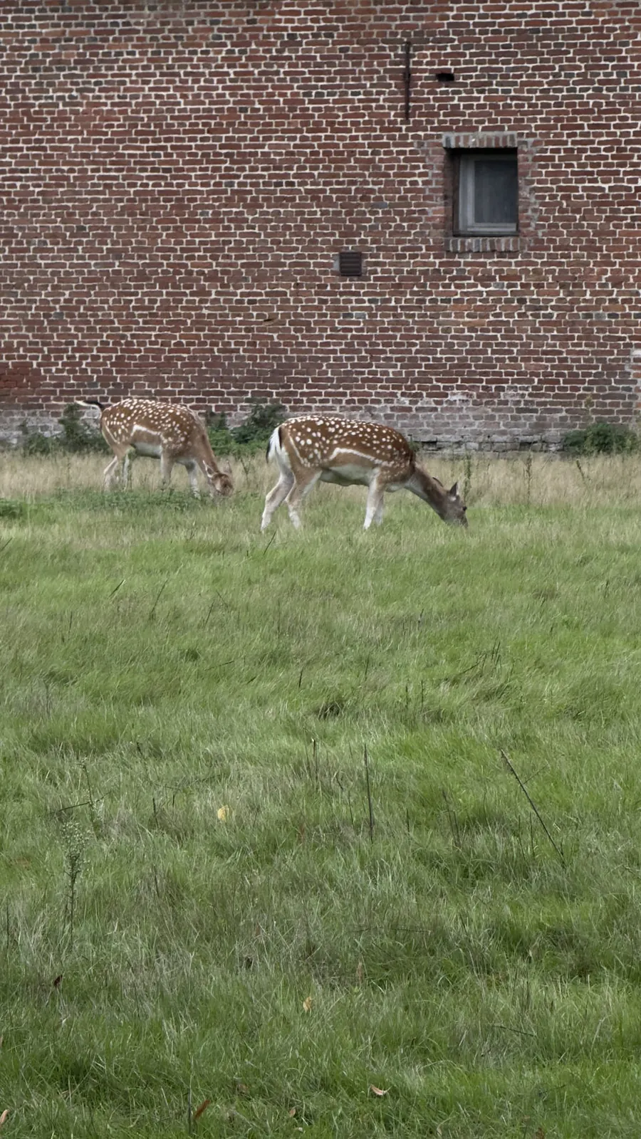 Mol, Belgique — photo 1
