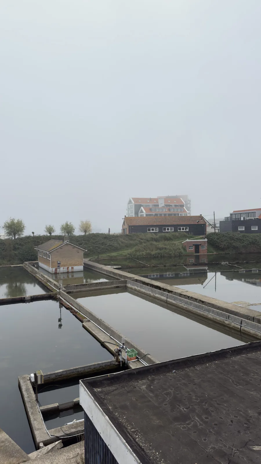 Yerseke, Pays-Bas — photo 3