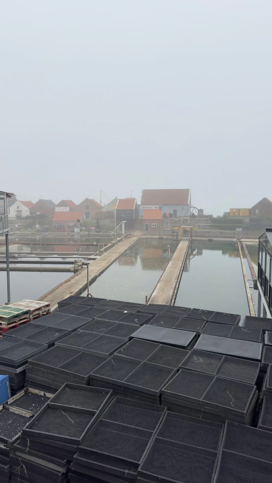 Yerseke, Pays-Bas — photo 4